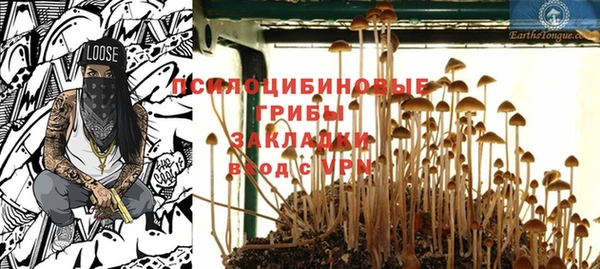 прущая мука Арсеньев