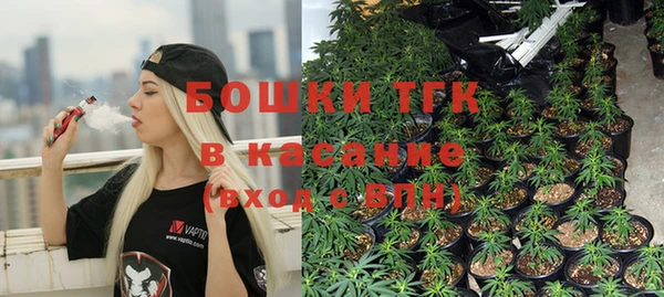 прущая мука Арсеньев